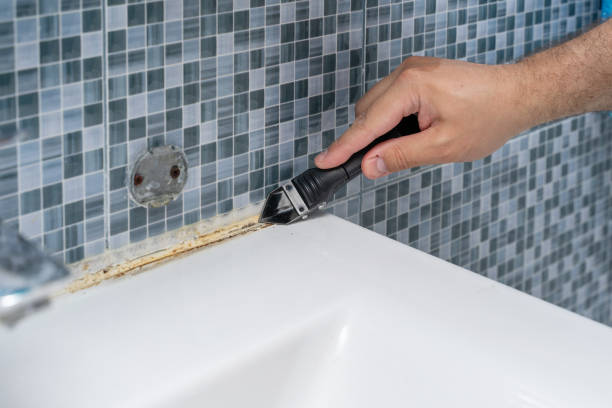 Best Mold Remediation  in Dyer, IN