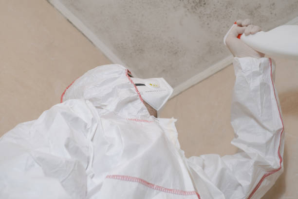 Best Attic Mold Removal  in Dyer, IN